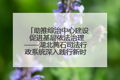 助推综治中心建设 促进基层依法治理——湖北黄石司法行政系统深入践行新时代枫桥经验