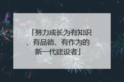 努力成长为有知识、有品德、有作为的新一代建设者