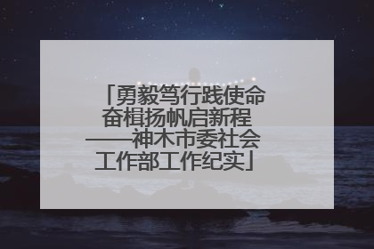 勇毅笃行践使命 奋楫扬帆启新程——神木市委社会工作部工作纪实