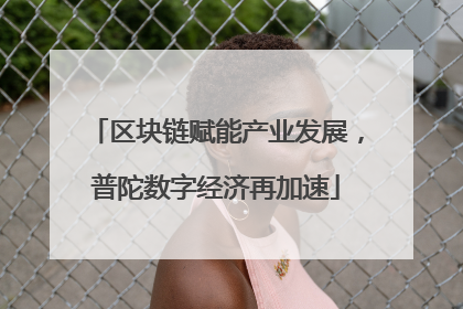 区块链赋能产业发展，普陀数字经济再加速
