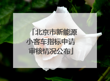 北京市新能源小客车指标申请审核情况公布