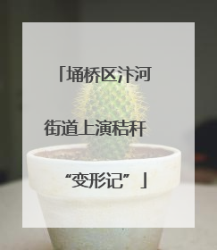 埇桥区汴河街道上演秸秆“变形记”