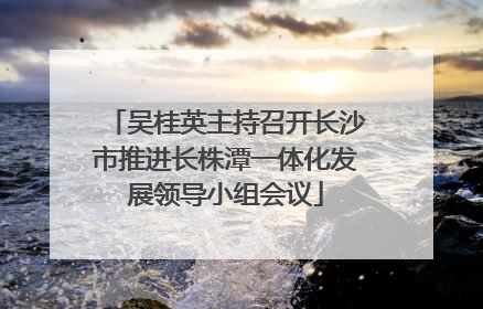 吴桂英主持召开长沙市推进长株潭一体化发展领导小组会议