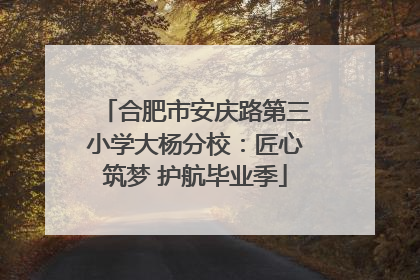 合肥市安庆路第三小学大杨分校：匠心筑梦 护航毕业季