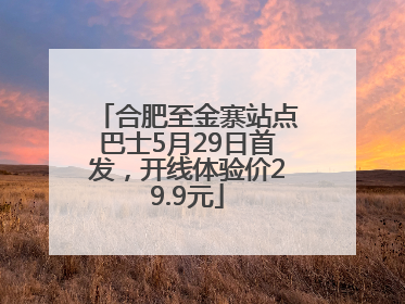 合肥至金寨站点巴士5月29日首发，开线体验价29.9元