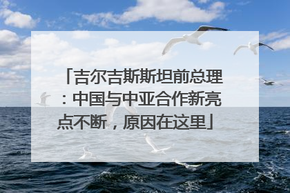 吉尔吉斯斯坦前总理：中国与中亚合作新亮点不断，原因在这里