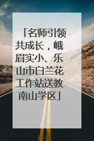 名师引领共成长，峨眉实小、乐山市白兰花工作站送教南山学区
