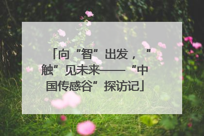 向“智”出发，“触”见未来——“中国传感谷”探访记