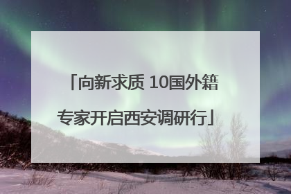 向新求质 10国外籍专家开启西安调研行