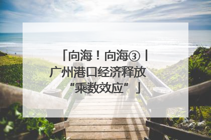 向海！向海③丨广州港口经济释放“乘数效应”