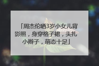 周杰伦晒3岁小女儿背影照，身穿格子裙，头扎小辫子，萌态十足