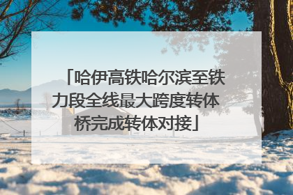 哈伊高铁哈尔滨至铁力段全线最大跨度转体桥完成转体对接