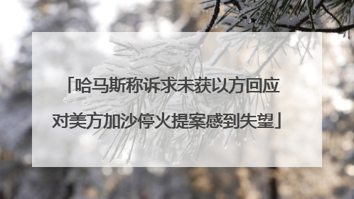 哈马斯称诉求未获以方回应 对美方加沙停火提案感到失望