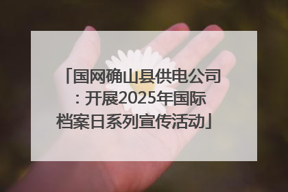 国网确山县供电公司：开展2025年国际档案日系列宣传活动