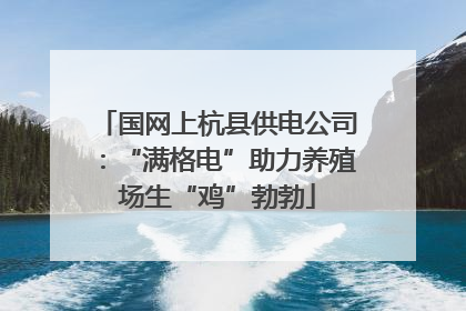 国网上杭县供电公司：“满格电”助力养殖场生“鸡”勃勃