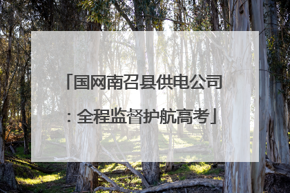 国网南召县供电公司：全程监督护航高考