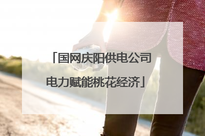 国网庆阳供电公司电力赋能桃花经济