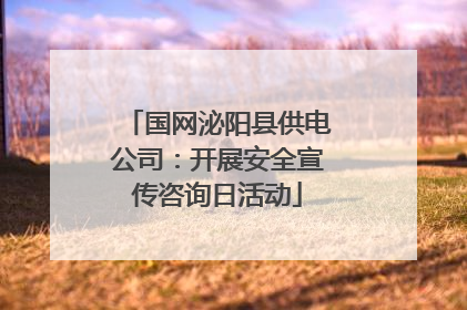 国网泌阳县供电公司：开展安全宣传咨询日活动
