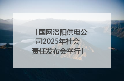 国网洛阳供电公司2025年社会责任发布会举行