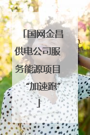 国网金昌供电公司服务能源项目“加速跑”