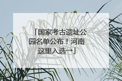 国家考古遗址公园名单公布！河南这里入选→