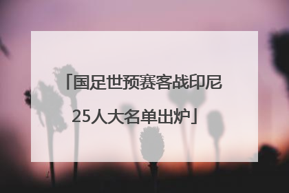 国足世预赛客战印尼25人大名单出炉