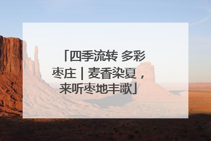 四季流转 多彩枣庄｜麦香染夏，来听枣地丰歌