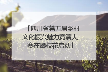 四川省第五届乡村文化振兴魅力竞演大赛在攀枝花启动