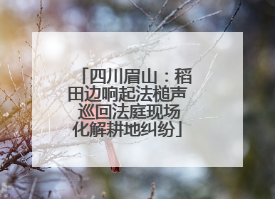 四川眉山：稻田边响起法槌声 巡回法庭现场化解耕地纠纷