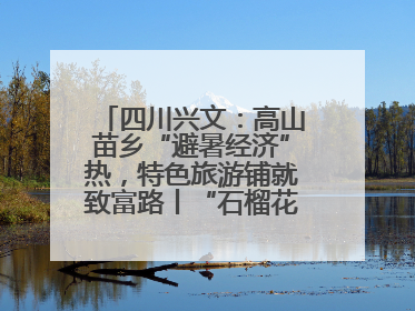四川兴文：高山苗乡“避暑经济”热，特色旅游铺就致富路丨“石榴花开”四川行⑧