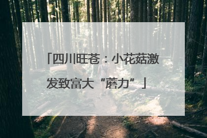 四川旺苍：小花菇激发致富大“蘑力”