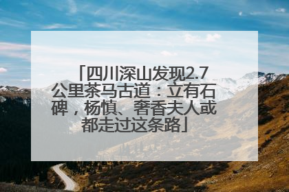 四川深山发现2.7公里茶马古道：立有石碑，杨慎、奢香夫人或都走过这条路
