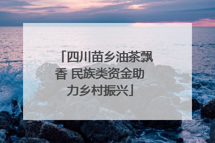 四川苗乡油茶飘香 民族类资金助力乡村振兴