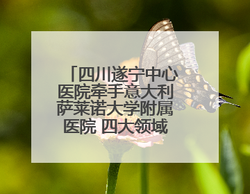 四川遂宁中心医院牵手意大利萨莱诺大学附属医院 四大领域开展全面合作