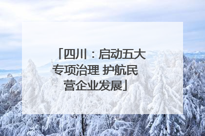 四川：启动五大专项治理 护航民营企业发展