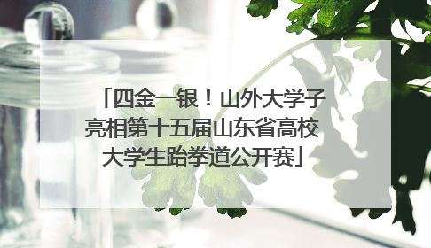 四金一银！山外大学子亮相第十五届山东省高校大学生跆拳道公开赛