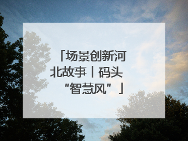 场景创新河北故事丨码头“智慧风”