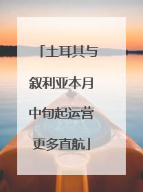 土耳其与叙利亚本月中旬起运营更多直航