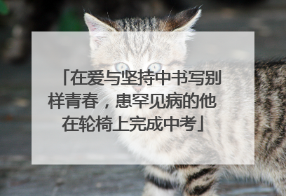 在爱与坚持中书写别样青春，患罕见病的他在轮椅上完成中考