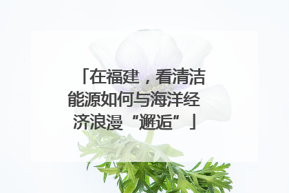 在福建，看清洁能源如何与海洋经济浪漫“邂逅”