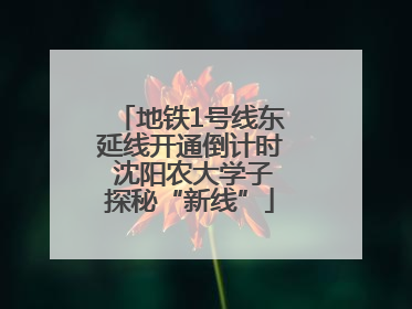 地铁1号线东延线开通倒计时 沈阳农大学子探秘“新线”