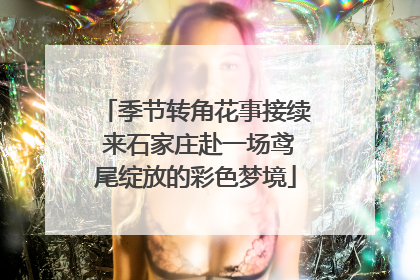 季节转角花事接续 来石家庄赴一场鸢尾绽放的彩色梦境