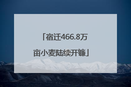 宿迁466.8万亩小麦陆续开镰