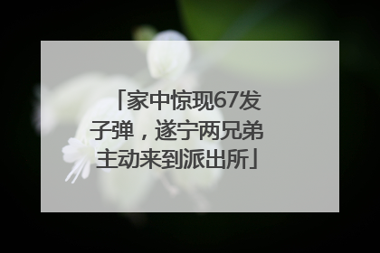 家中惊现67发子弹，遂宁两兄弟主动来到派出所