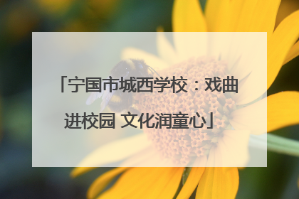 宁国市城西学校：戏曲进校园 文化润童心
