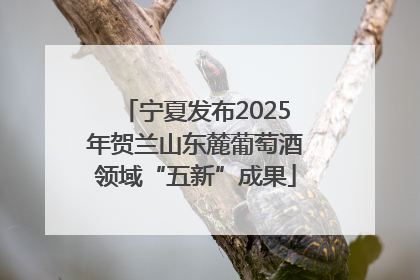 宁夏发布2025年贺兰山东麓葡萄酒领域“五新”成果