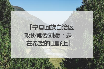 宁夏回族自治区政协常委刘媛：走在希望的田野上