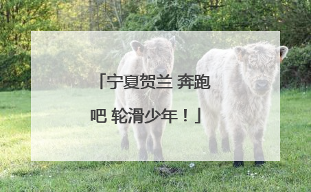 宁夏贺兰 奔跑吧 轮滑少年！