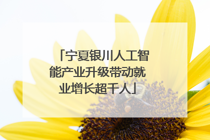 宁夏银川人工智能产业升级带动就业增长超千人