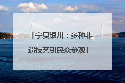 宁夏银川：多种非遗技艺引民众参观